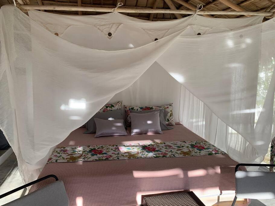 Studio El Quiosco Avec Jacuzzi ลาสแตร์เรนาส ภายนอก รูปภาพ